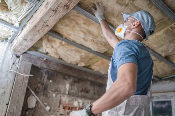 Professional Insulation Contractor in Trenton, MO