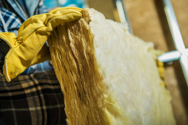 Best Geographic-Specific Insulation Services in Trenton, MO
