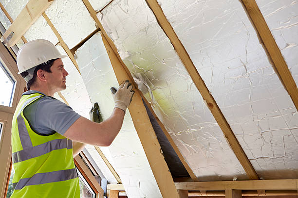 Best Residential Insulation in Trenton, MO